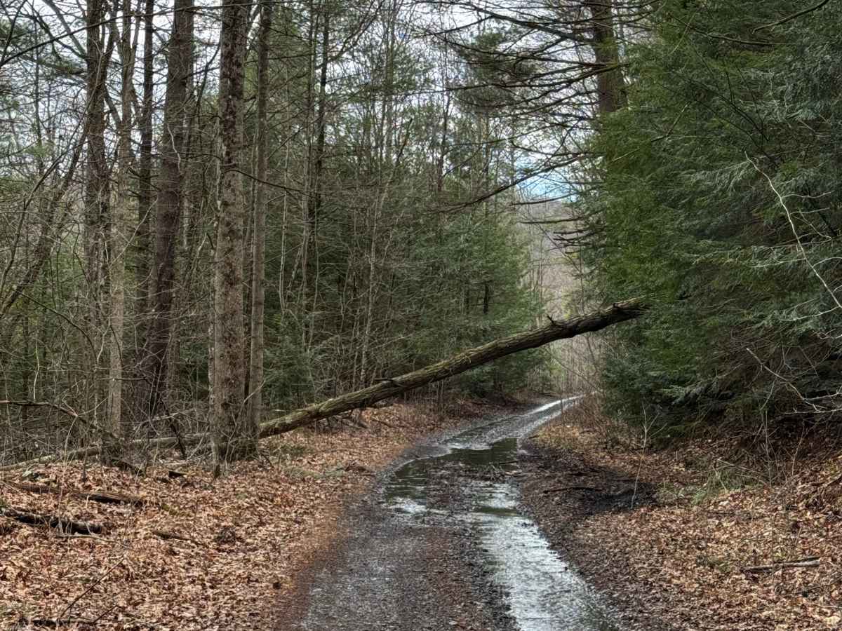 Hog Back Tunnel Trail photo 5