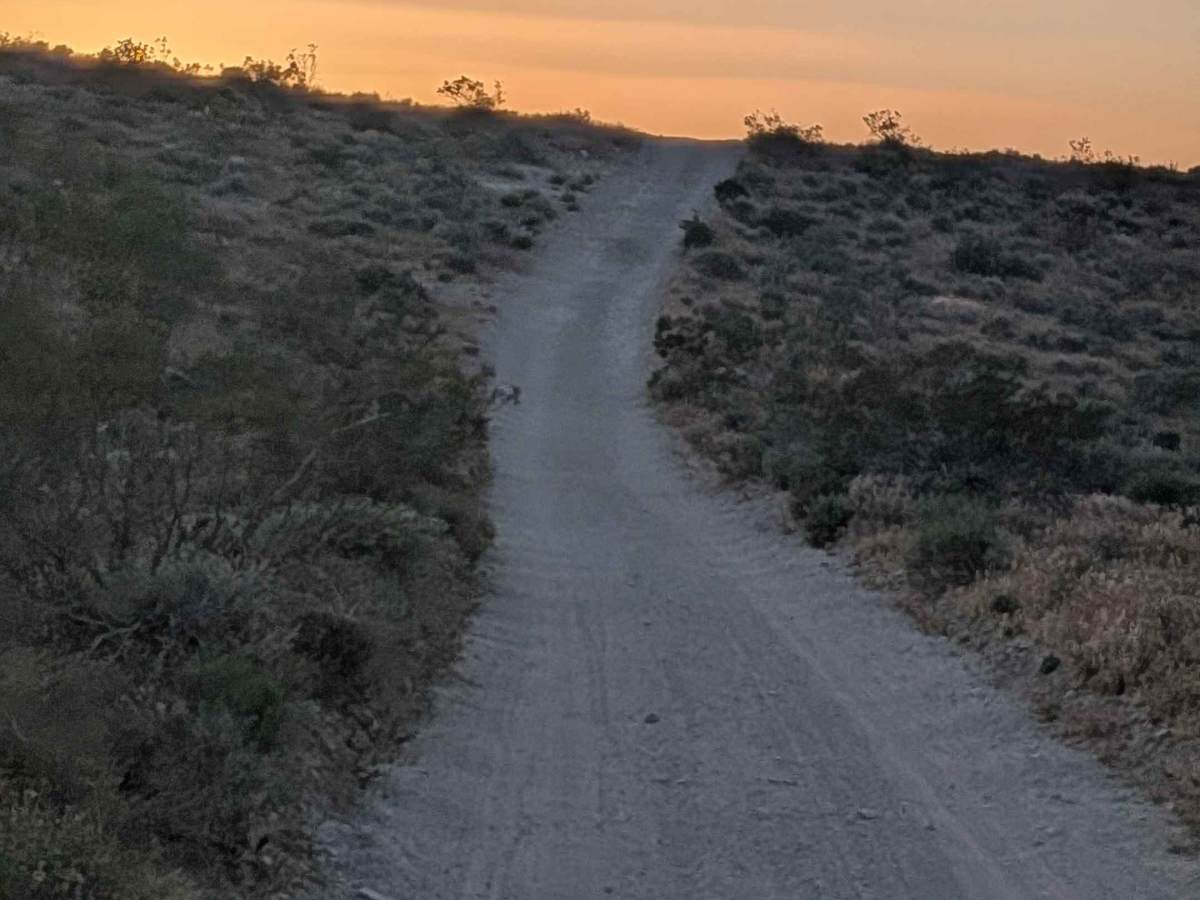 Sierra View Road trail photo