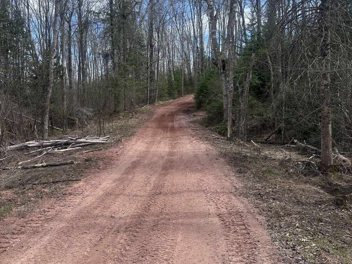 Yellow Birch Trail photo 5