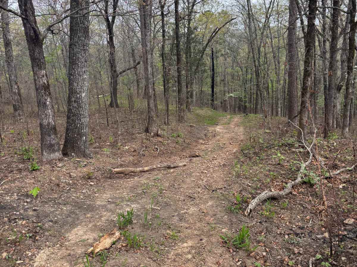 Tackett Mount Summit Trail photo 5