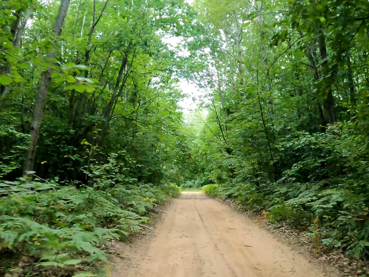 Midland To Mackinaw Trail photo 6