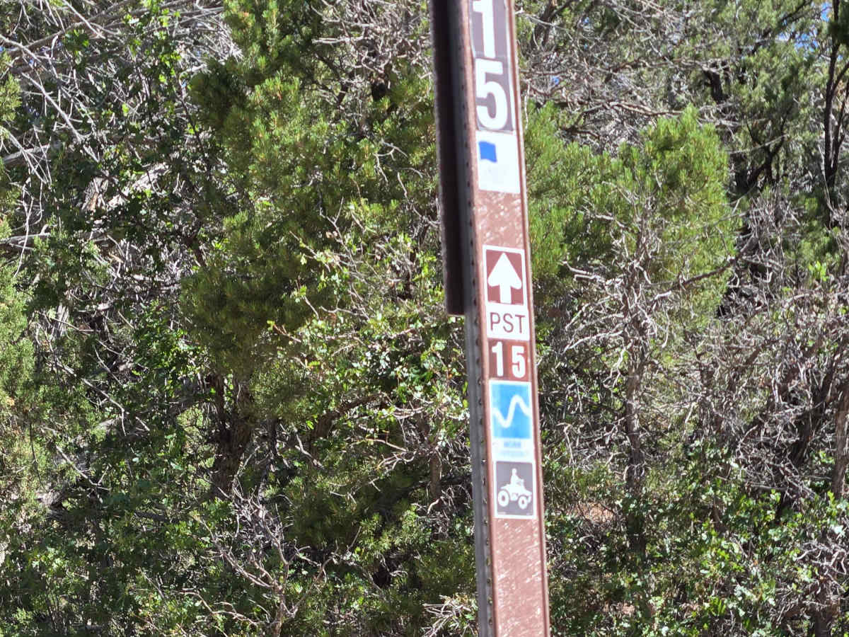 FS 40115 trail photo
