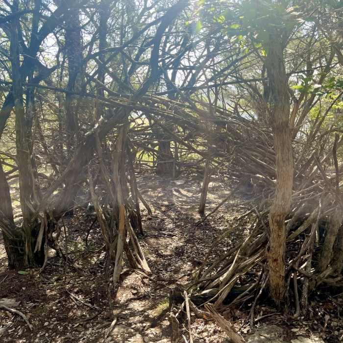 Debris shelter on top of Dana Peak summit Near Dana Peak Hill Trail