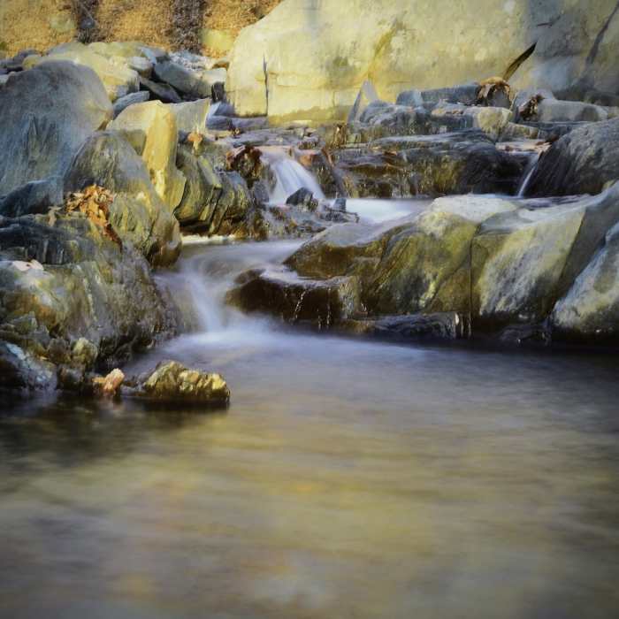 Near Sawmill Branch Trail