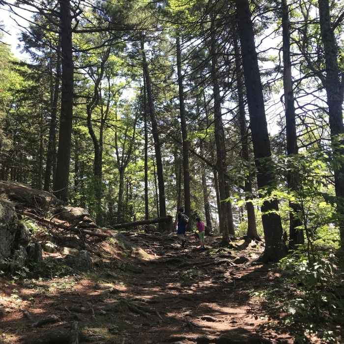 Trail up to the summit Near Bald Rock Mountain Loop