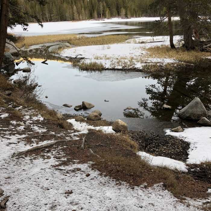 Near Upper Rock Creek Canyon Trail