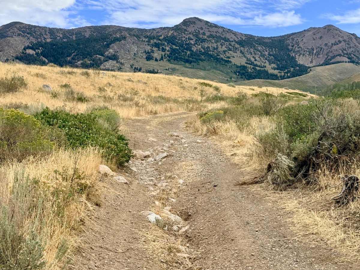 Chicken Creek Route - FS 56159 photo 4