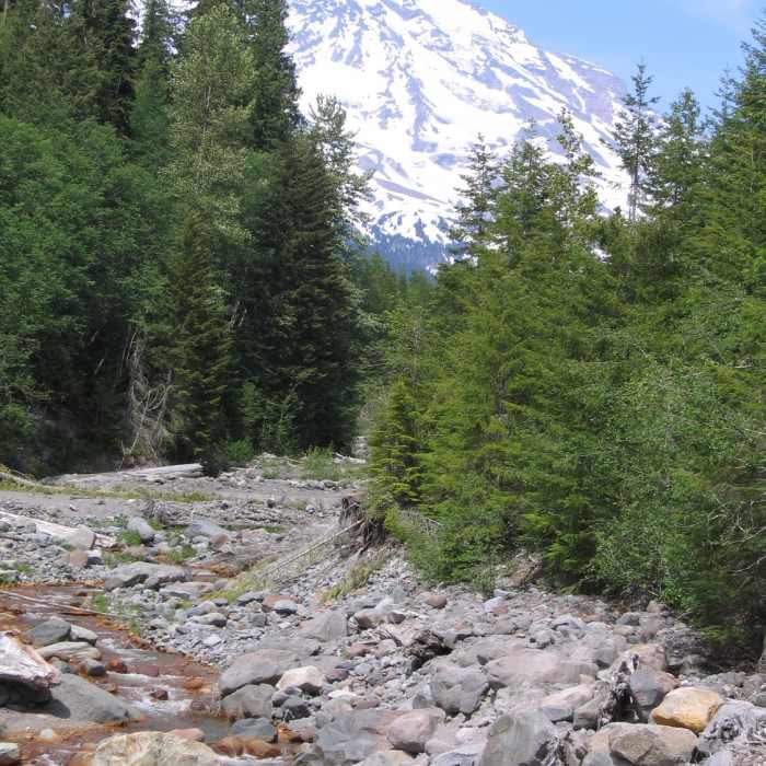 Near Indian Henry's Hunting Ground via Kautz Creek