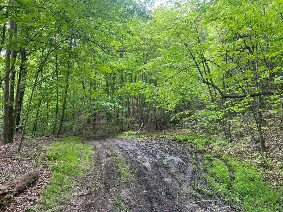 Q59 photo 4