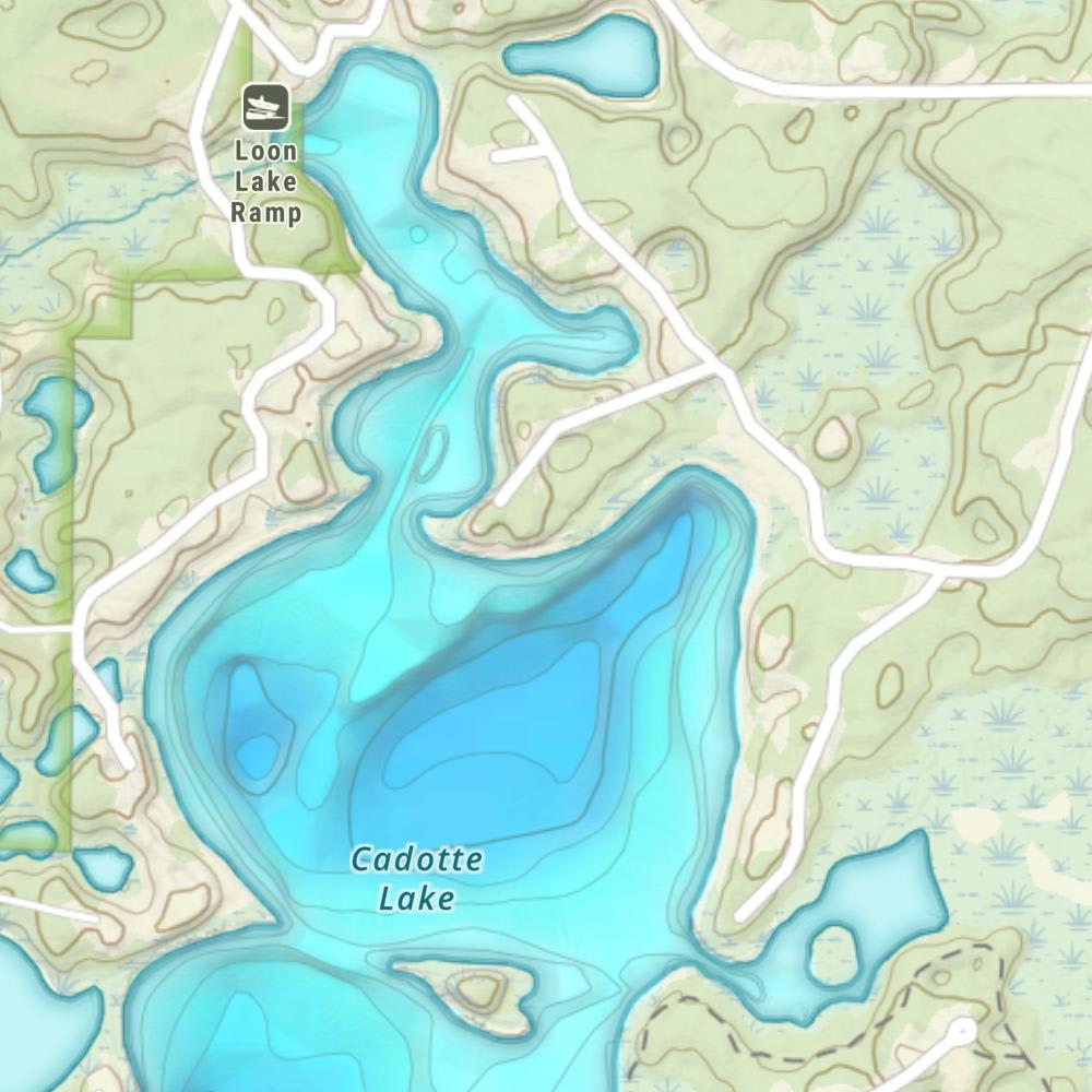 Loon Lake photo