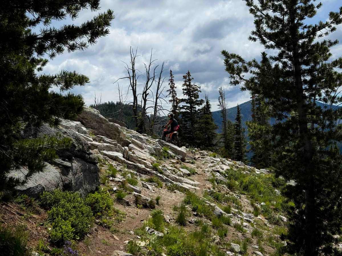 Foggy Dew Ridge - 438  trail photo