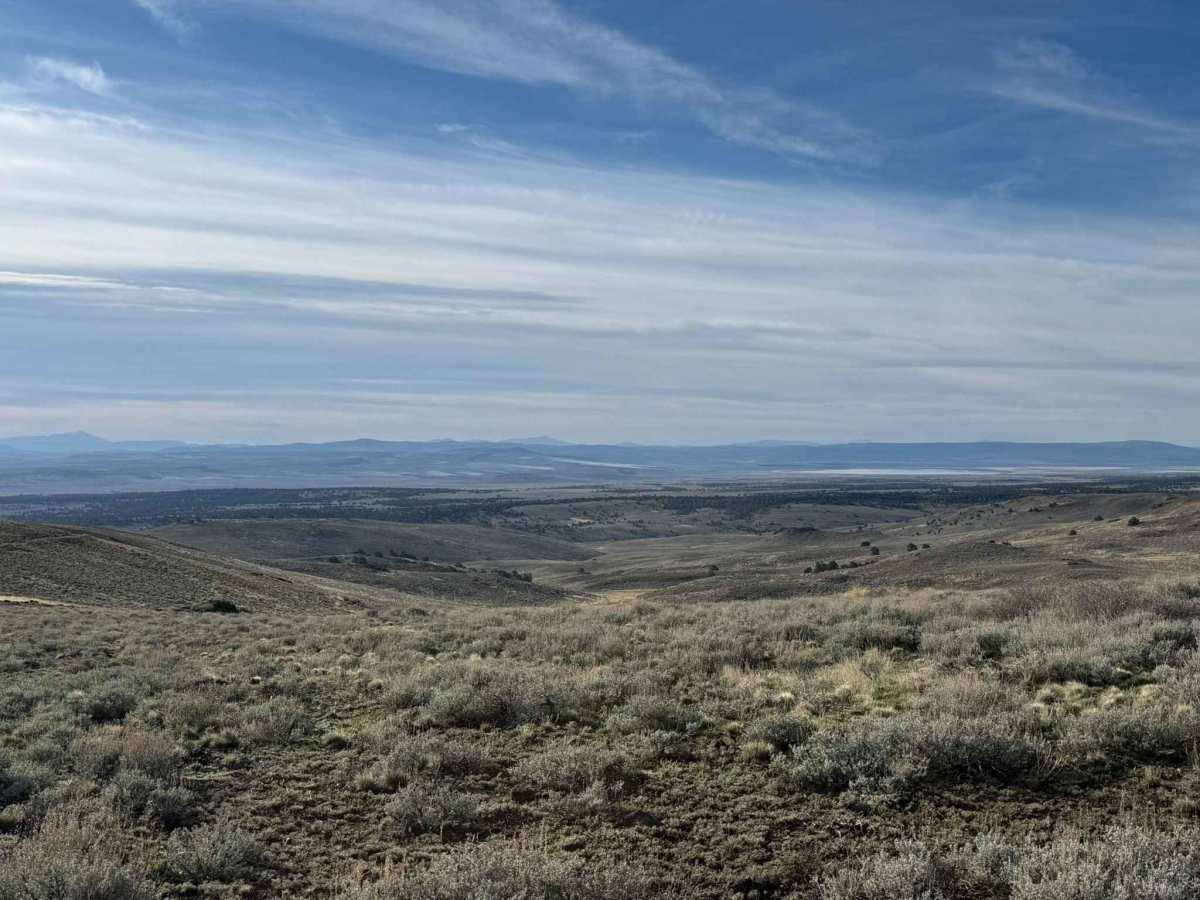 Sheldon Wildlife Refuge & Yellow Peak  trail photo