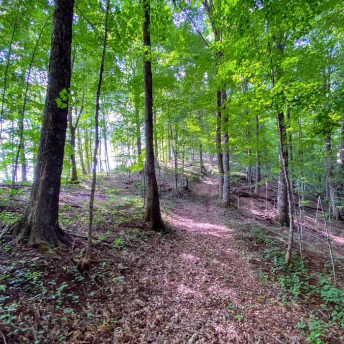 Approaching the viewpoint on the trail. Near Bald Mountain Creek Preserve Outer Loop