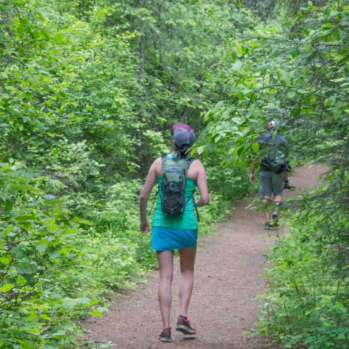 Near Highpoint Trail