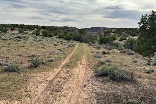 Cisco Claymore Hills