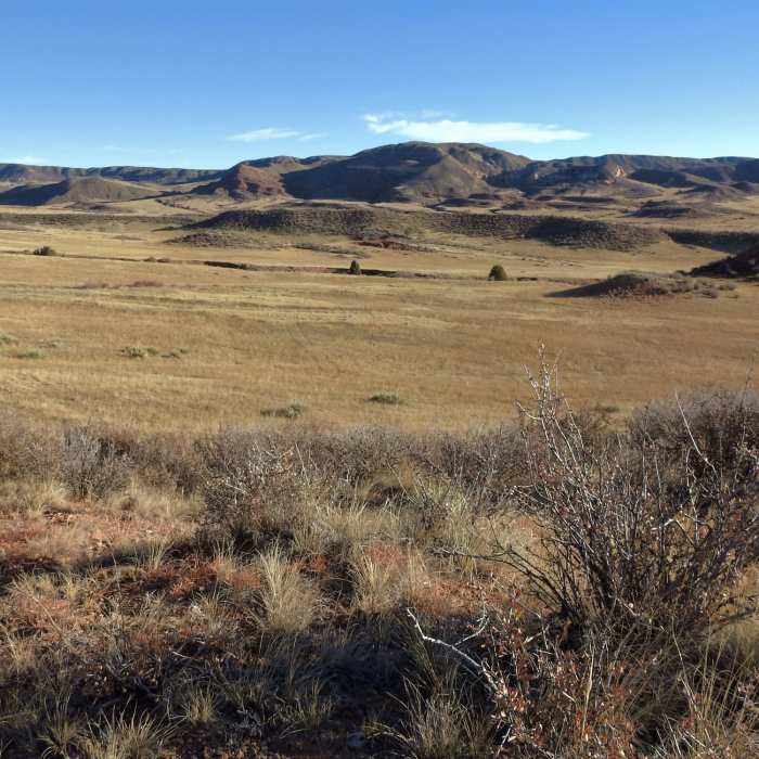 Near Bent Rock and K-Lynn Cameron Loops