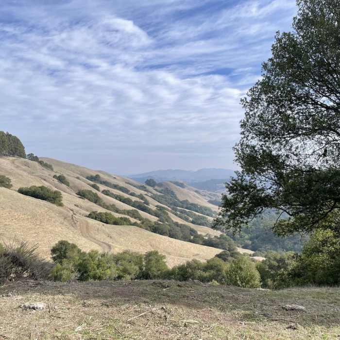 Near De La Veaga Trail