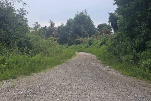Massingale Mountain Road