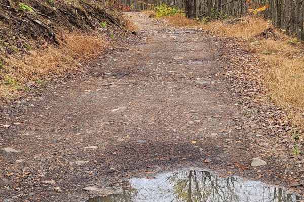 Rock Run - Rock Run Recreation Area