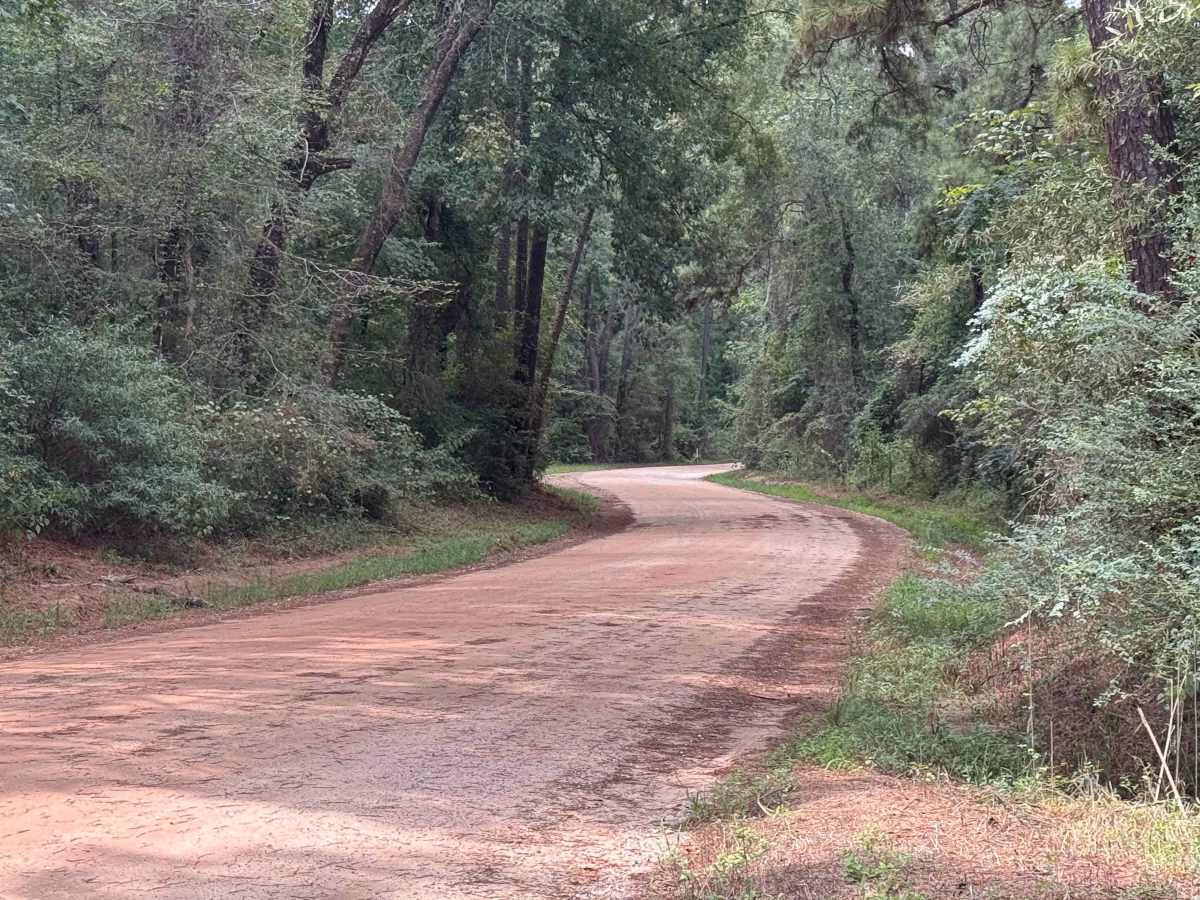 Alsobrooks Road photo 3