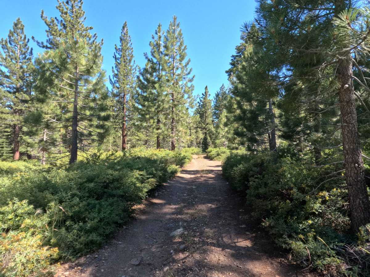 Scotts Trail - FS 21565 photo 3