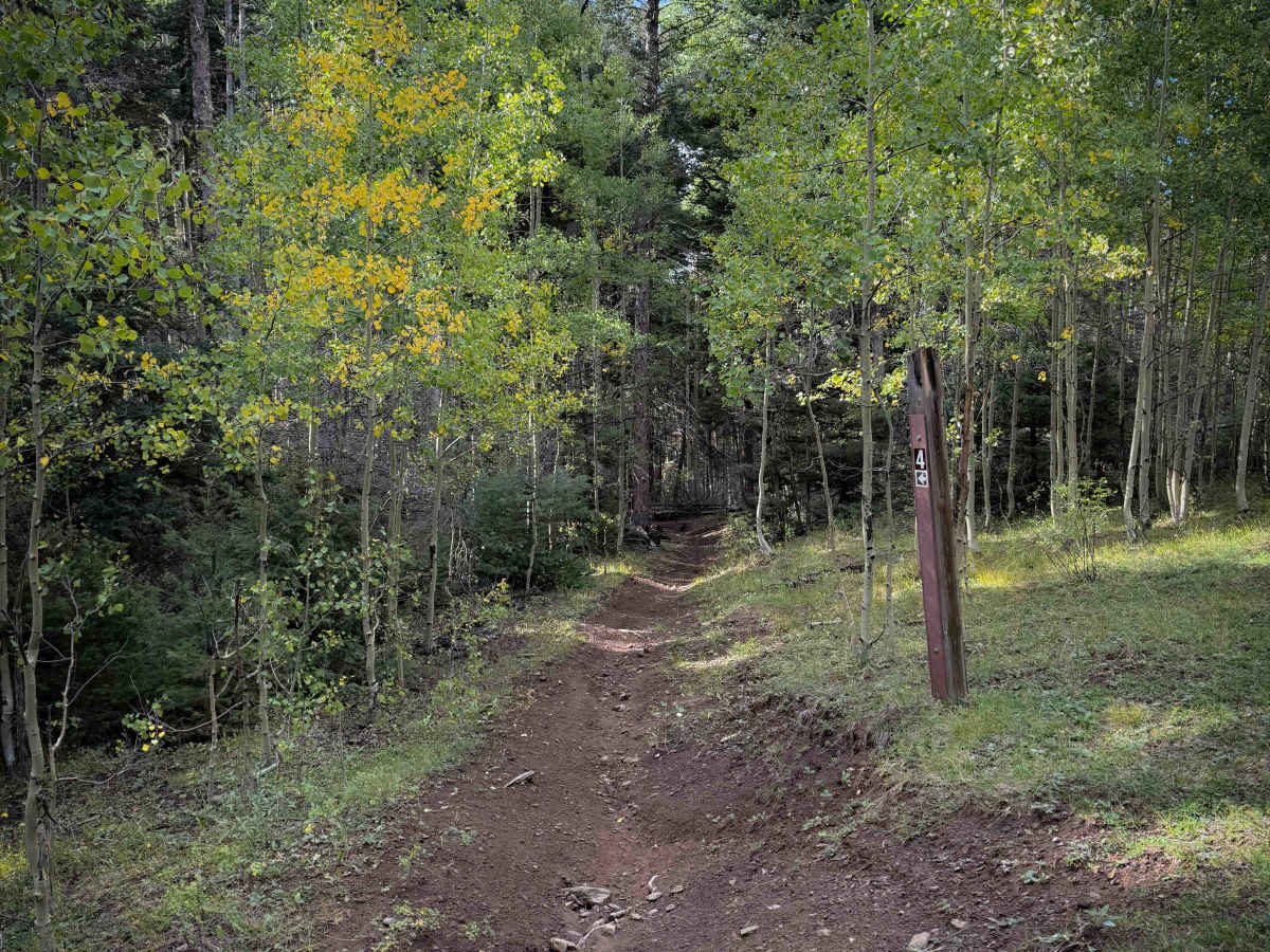 Gallegos Trail - FS 4  photo 6