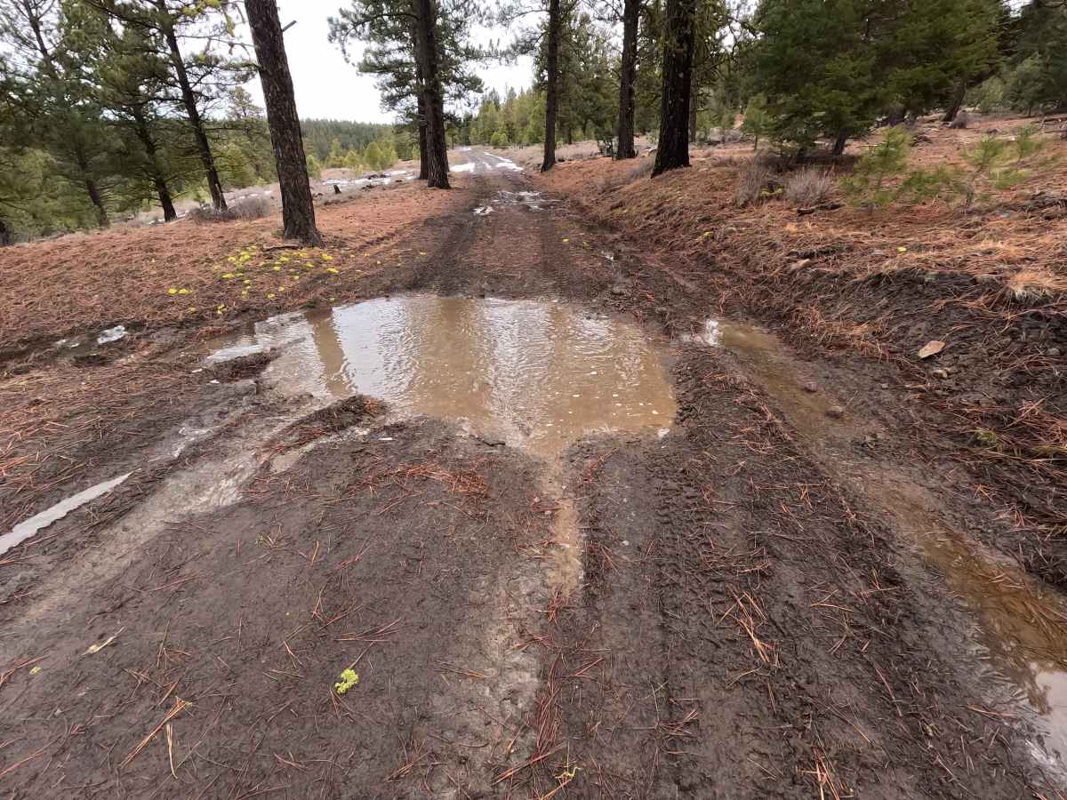 Little Caribou Road photo 6