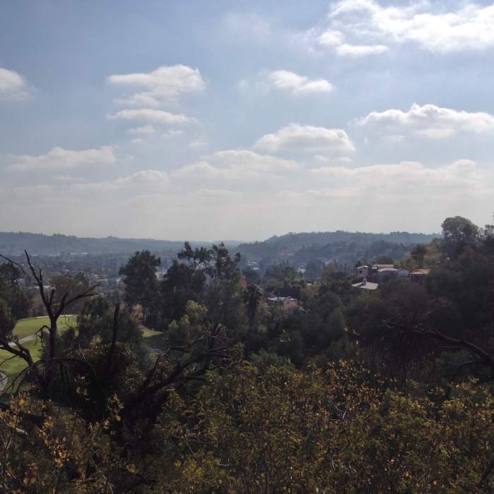 Near Beacon Hill Loop