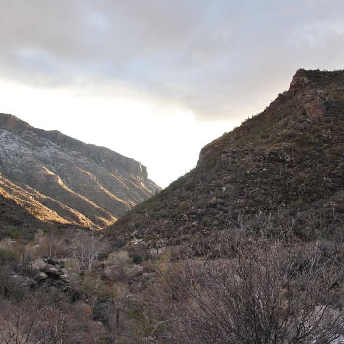 Near North Upper Sabino Canyon Road