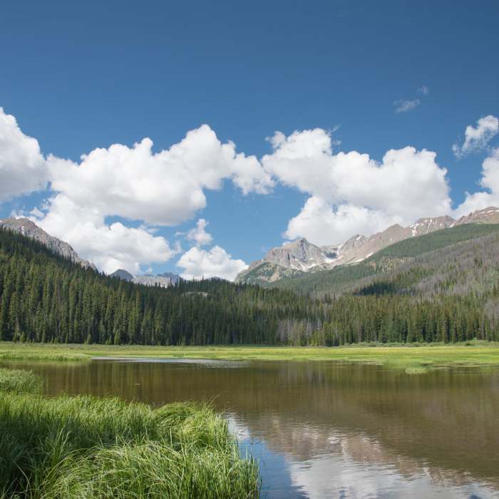 Near Boulder Lake Trail