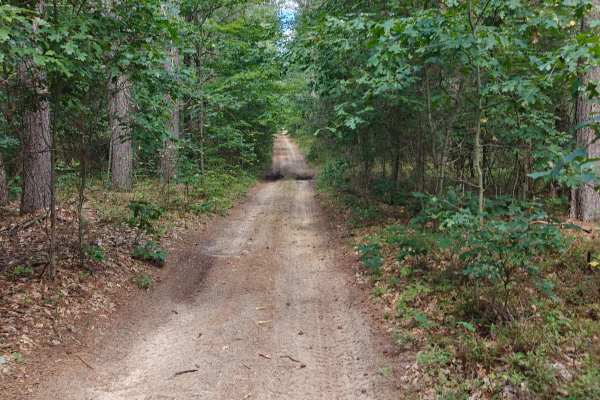 Everett Trail
