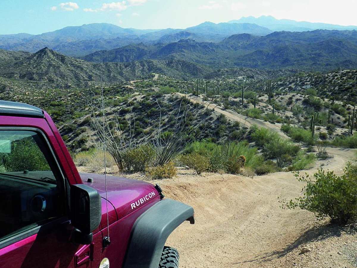 Sycamore Creek photo 2