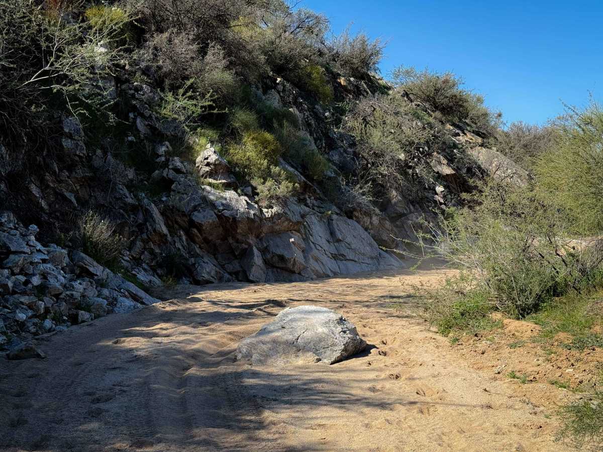 Freeman Road Wash trail photo