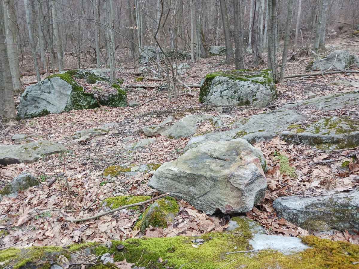 OHV 51 - Rock Run Recreation Area photo 6
