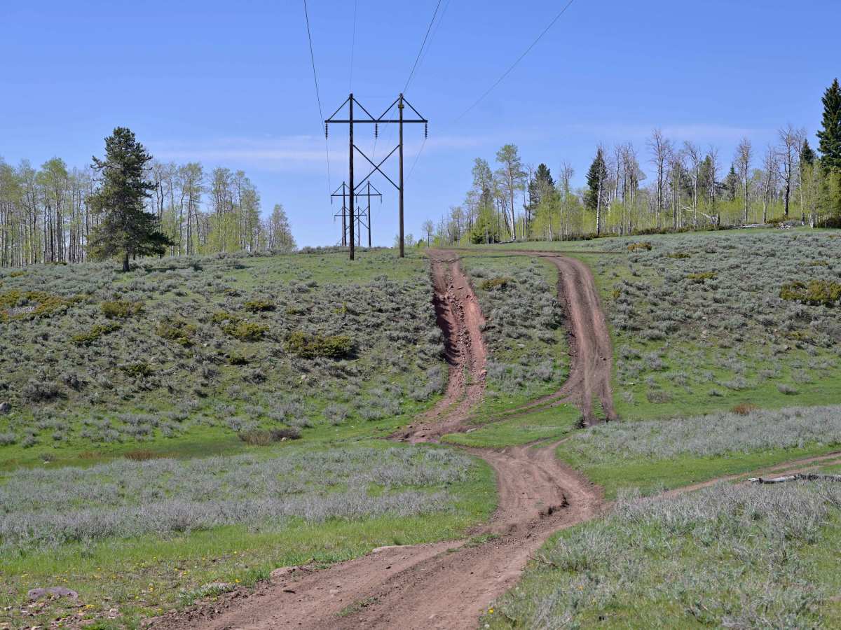 East McKee - FS 10045 trail photo