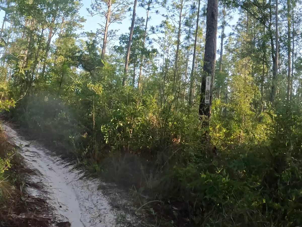 Southeast - FS 15 photo 3