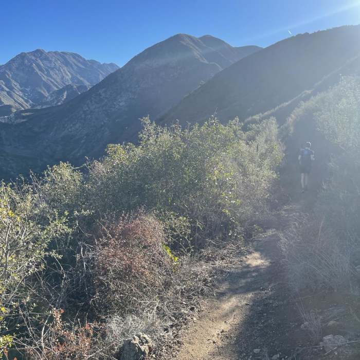 Near Gabrielino Loop