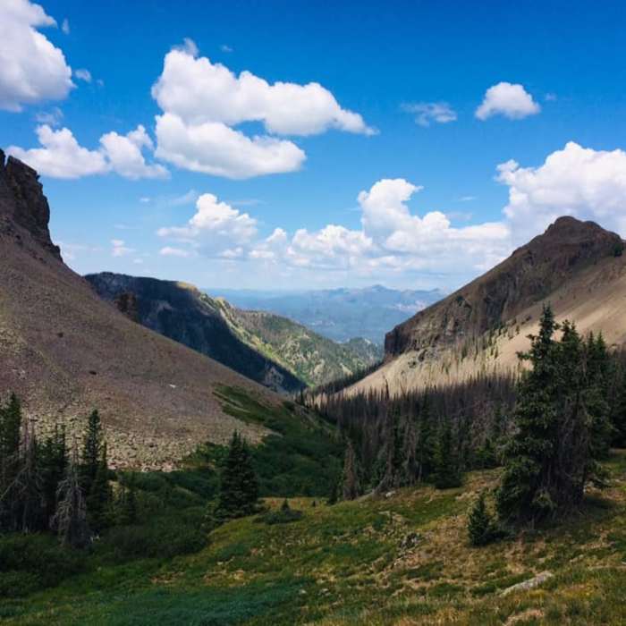 Near Crater Lake Trail #562