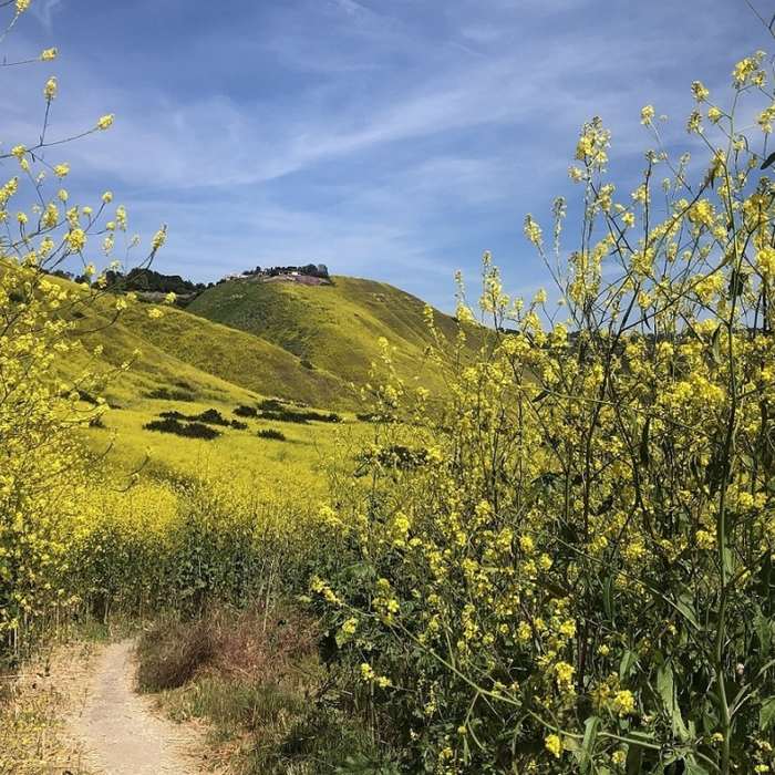 Near Filiorum & Portuguese Bend Loop