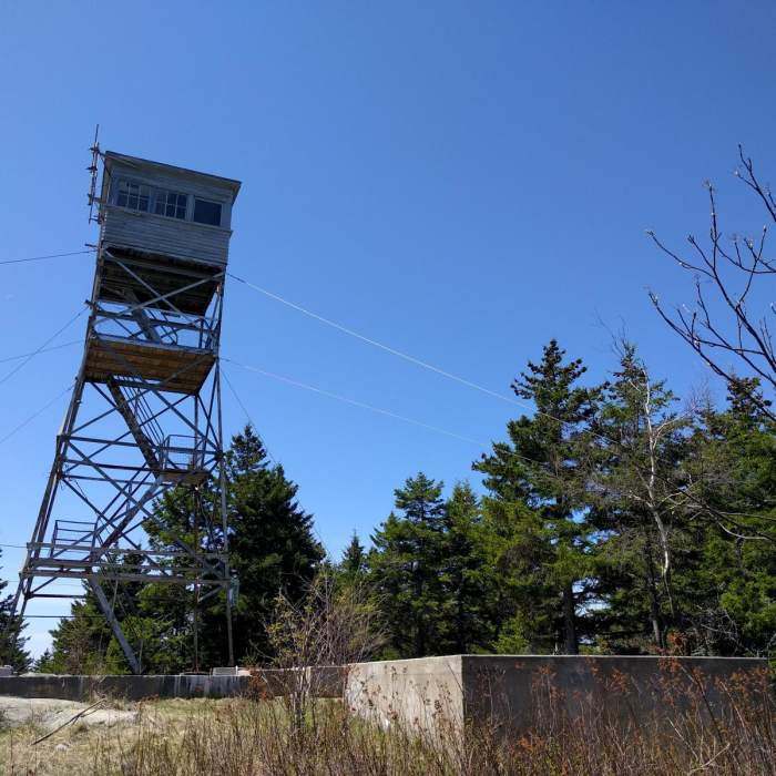 Near Belknap Range Trail Near Belknap Range Trail