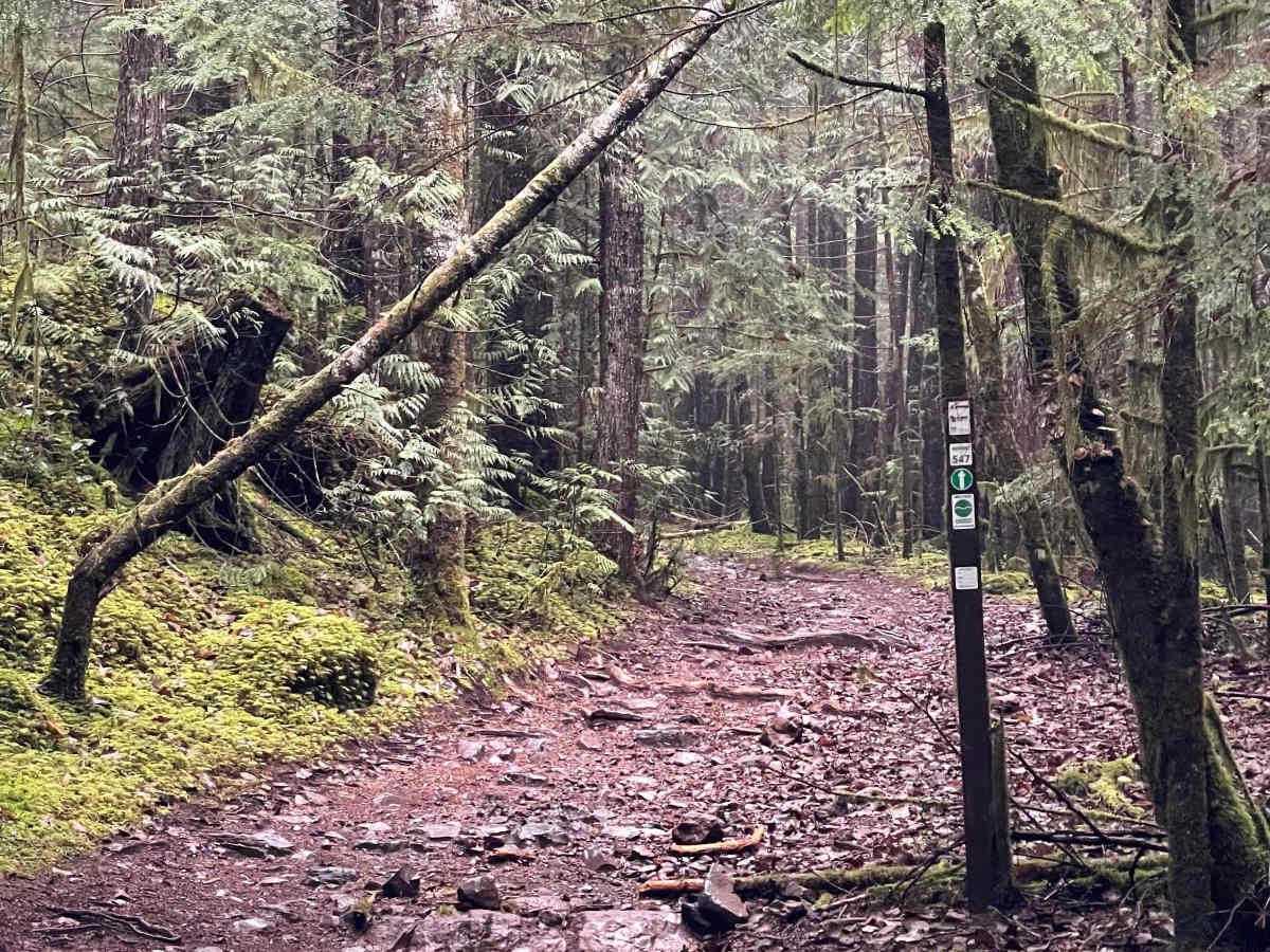 Highball trail photo