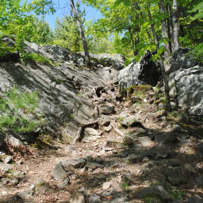 Near Rock Circuit Loop