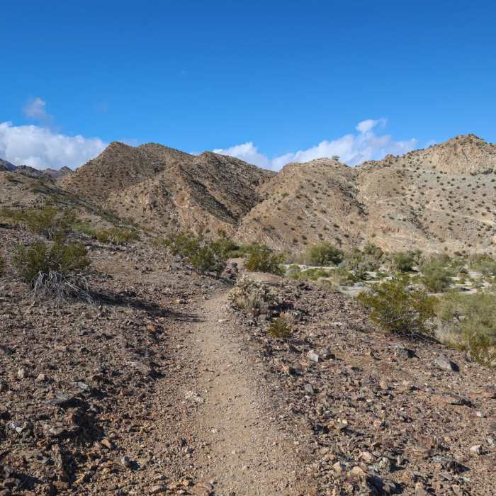 Near Dead Indian Canyon