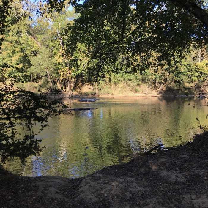 Near Saxapahaw Island Trail