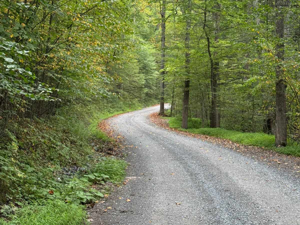 Hagerman Run Road photo 4