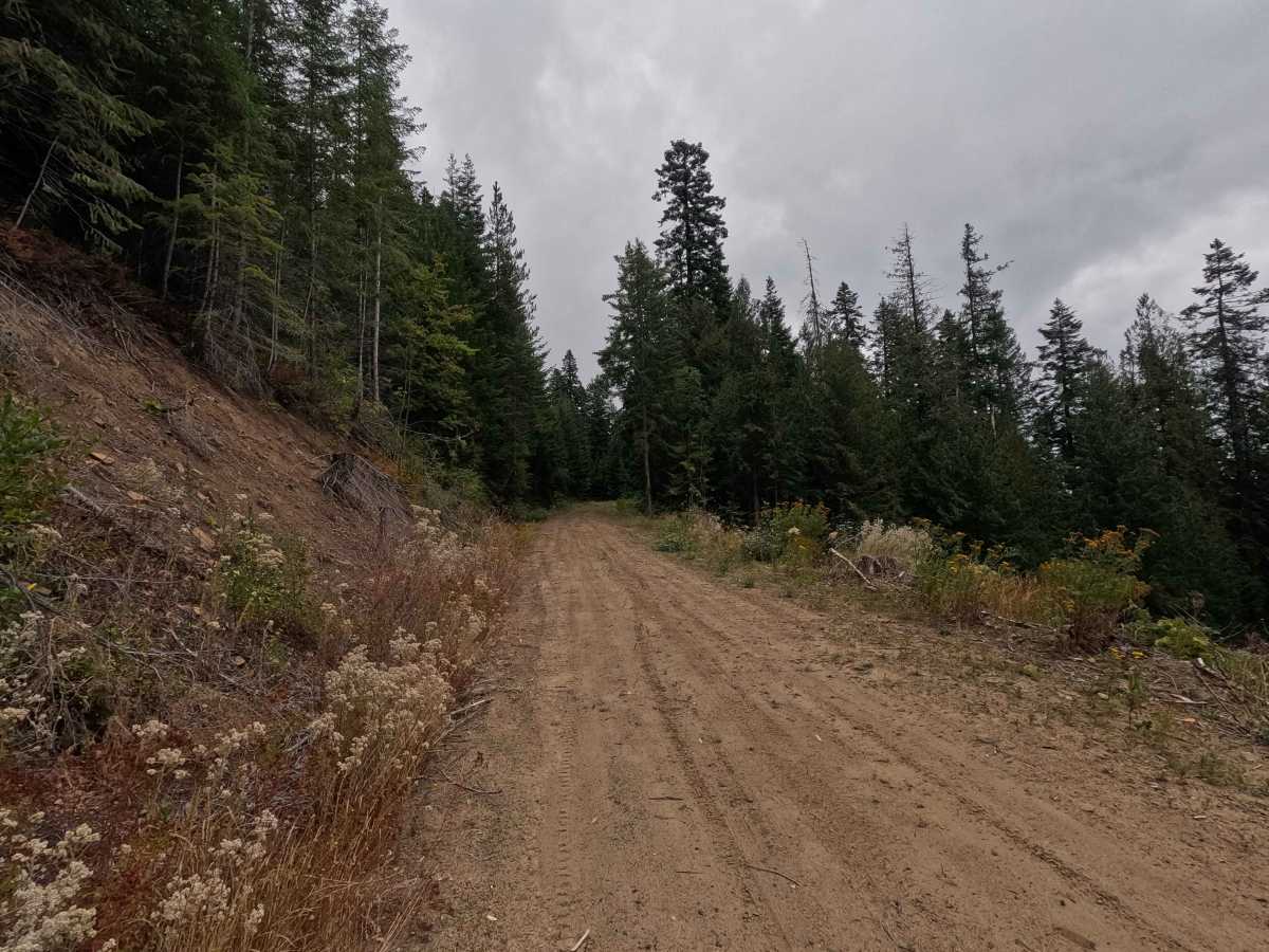 Butch Creek - FS 1142 photo 5