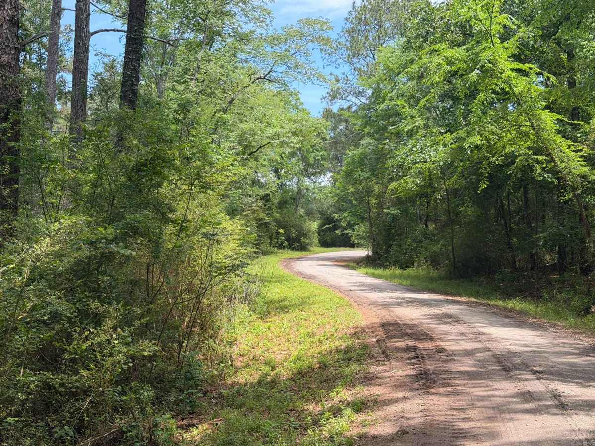 Stutts Redfield Road photo 4