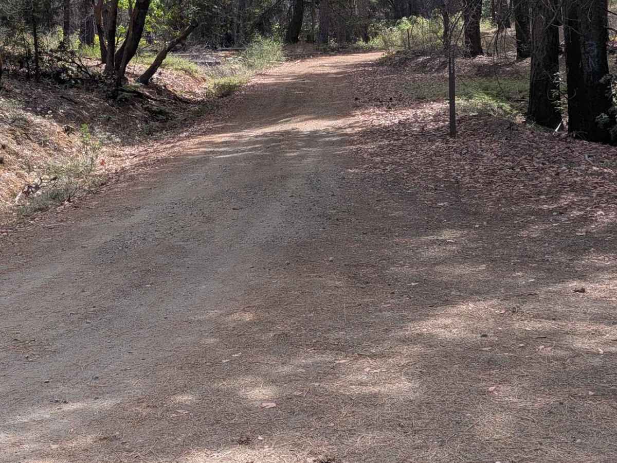 Soldier Creek Loop - FS 33N48  photo 2