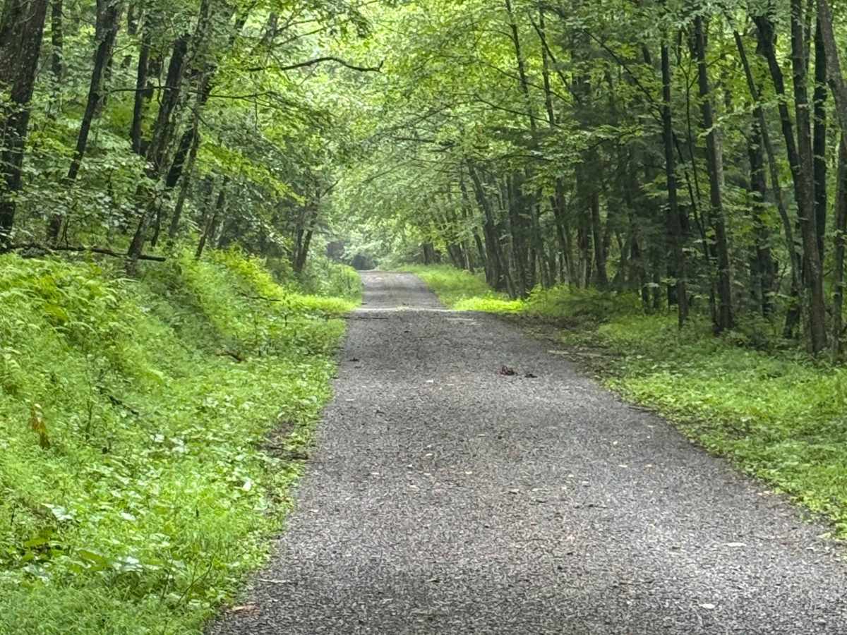 Fire Tower Road photo 5