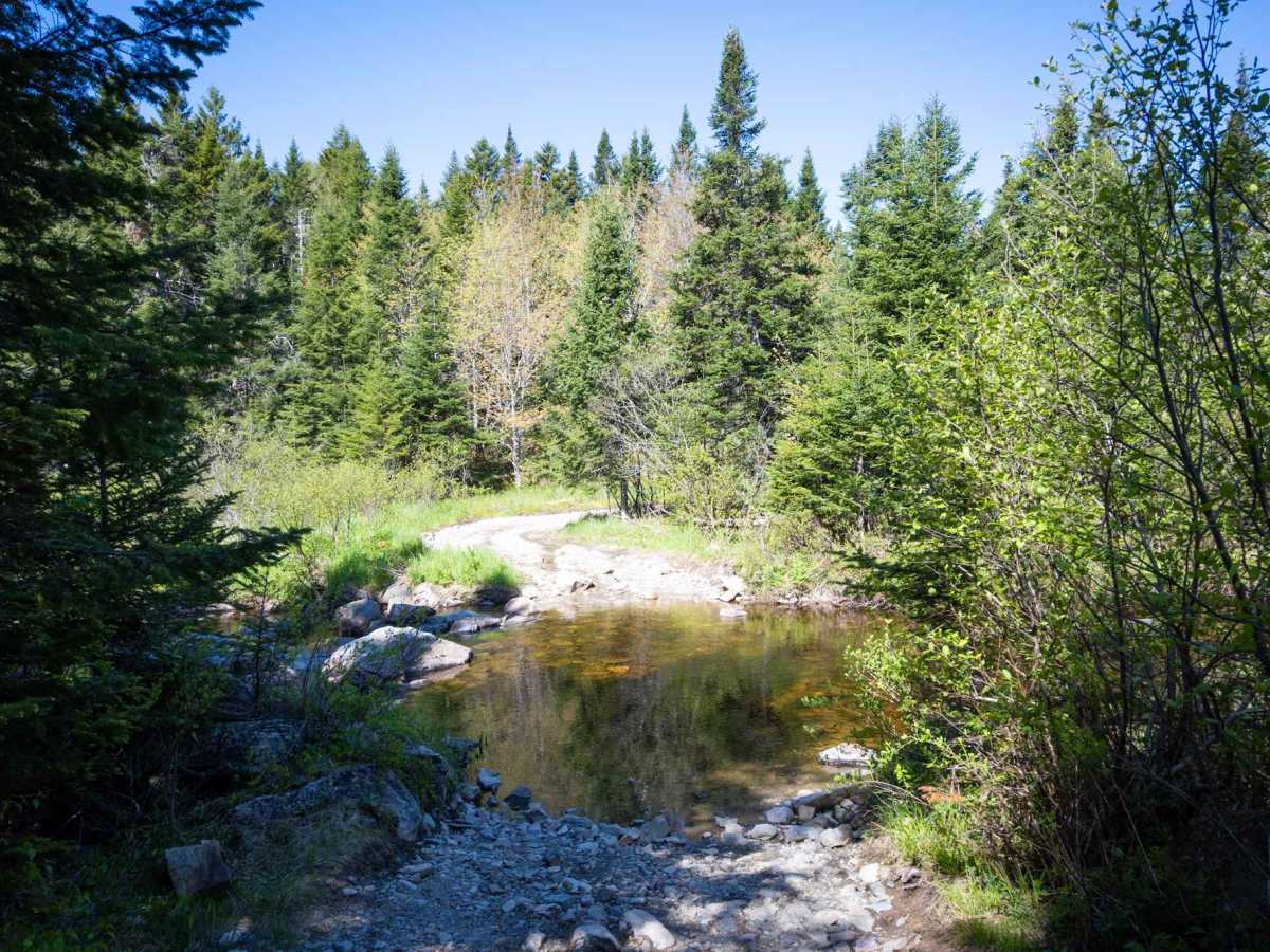 Crossroad Trail photo 5